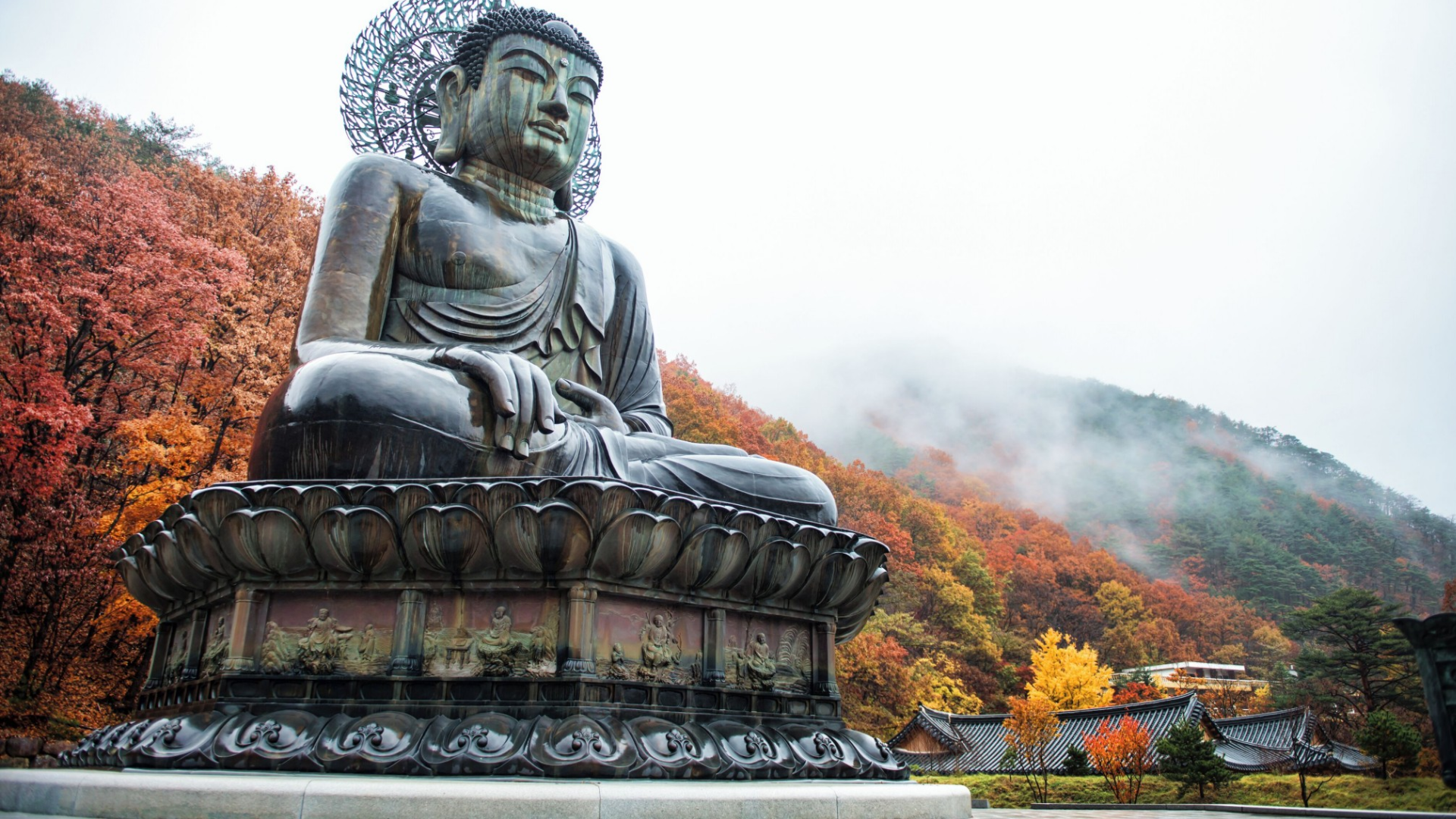 6D BEAUTIFUL NEW KOREA 
