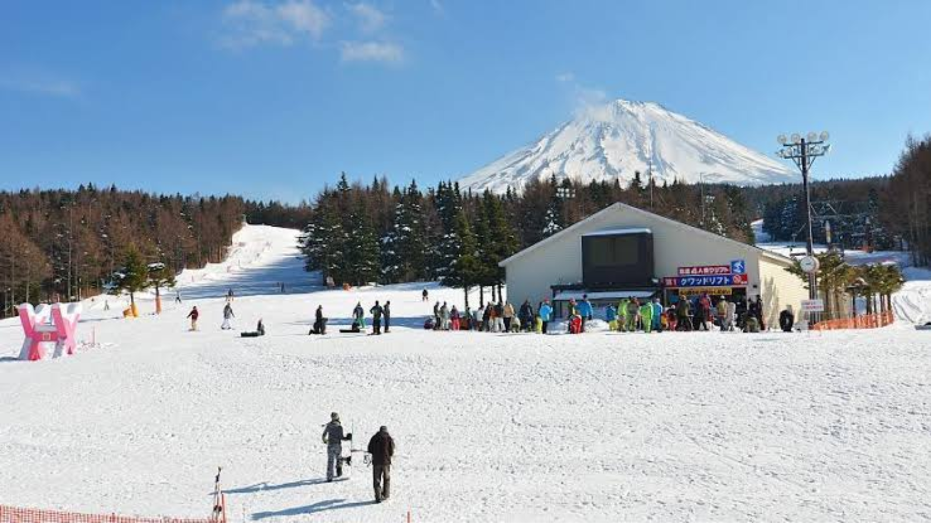 7D ADORABLE YEAR END GOLDEN ROUTE JAPAN