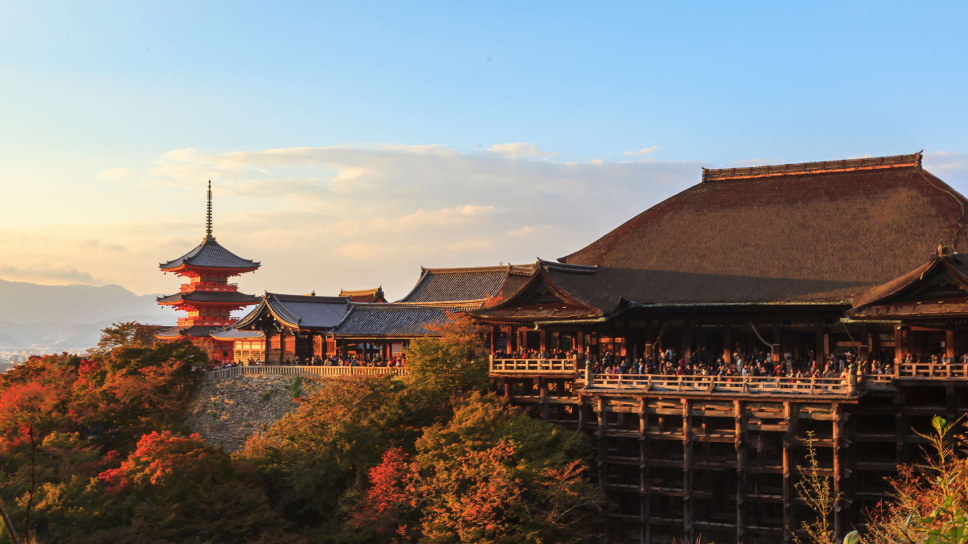 7D ADORABLE YEAR END GOLDEN ROUTE JAPAN