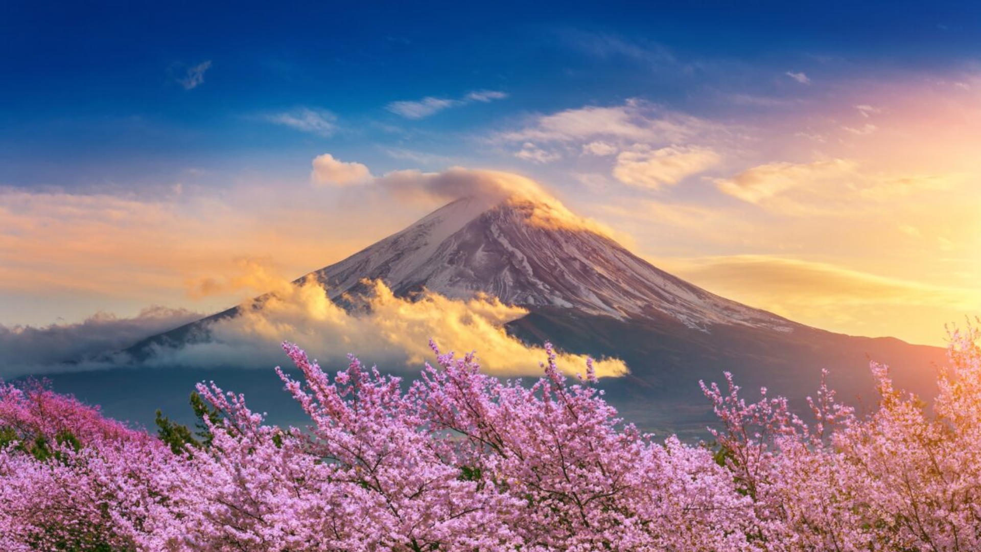 7D ADORABLE YEAR END GOLDEN ROUTE JAPAN