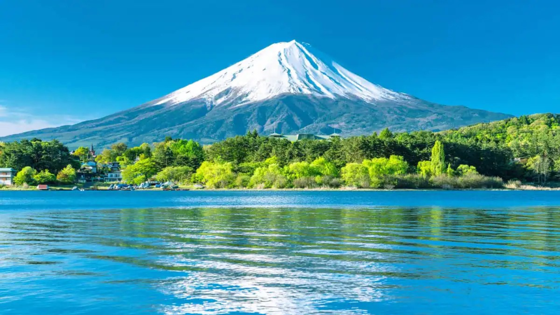 7D SUPER SALE GR JAPAN + SHIRAKAWAGO