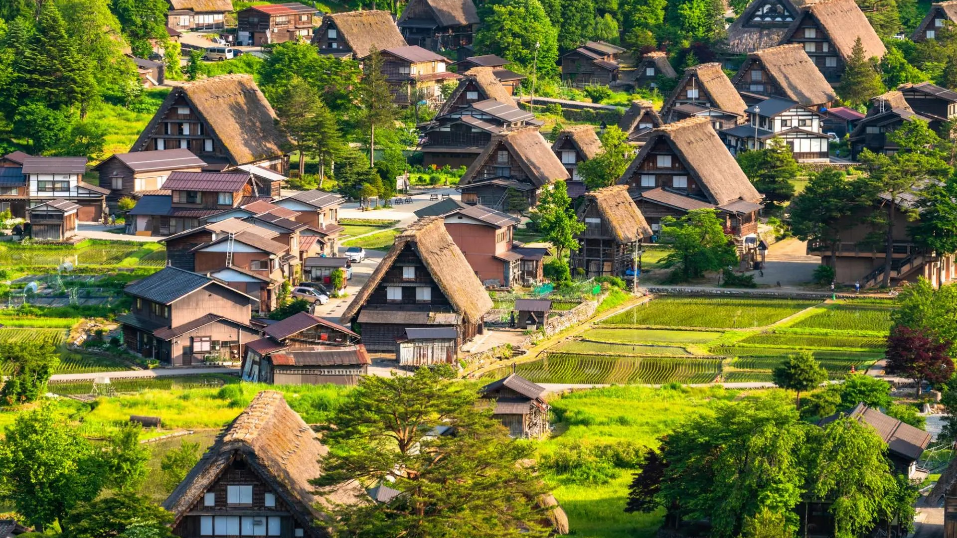 7D SUPER SALE GR JAPAN + SHIRAKAWAGO