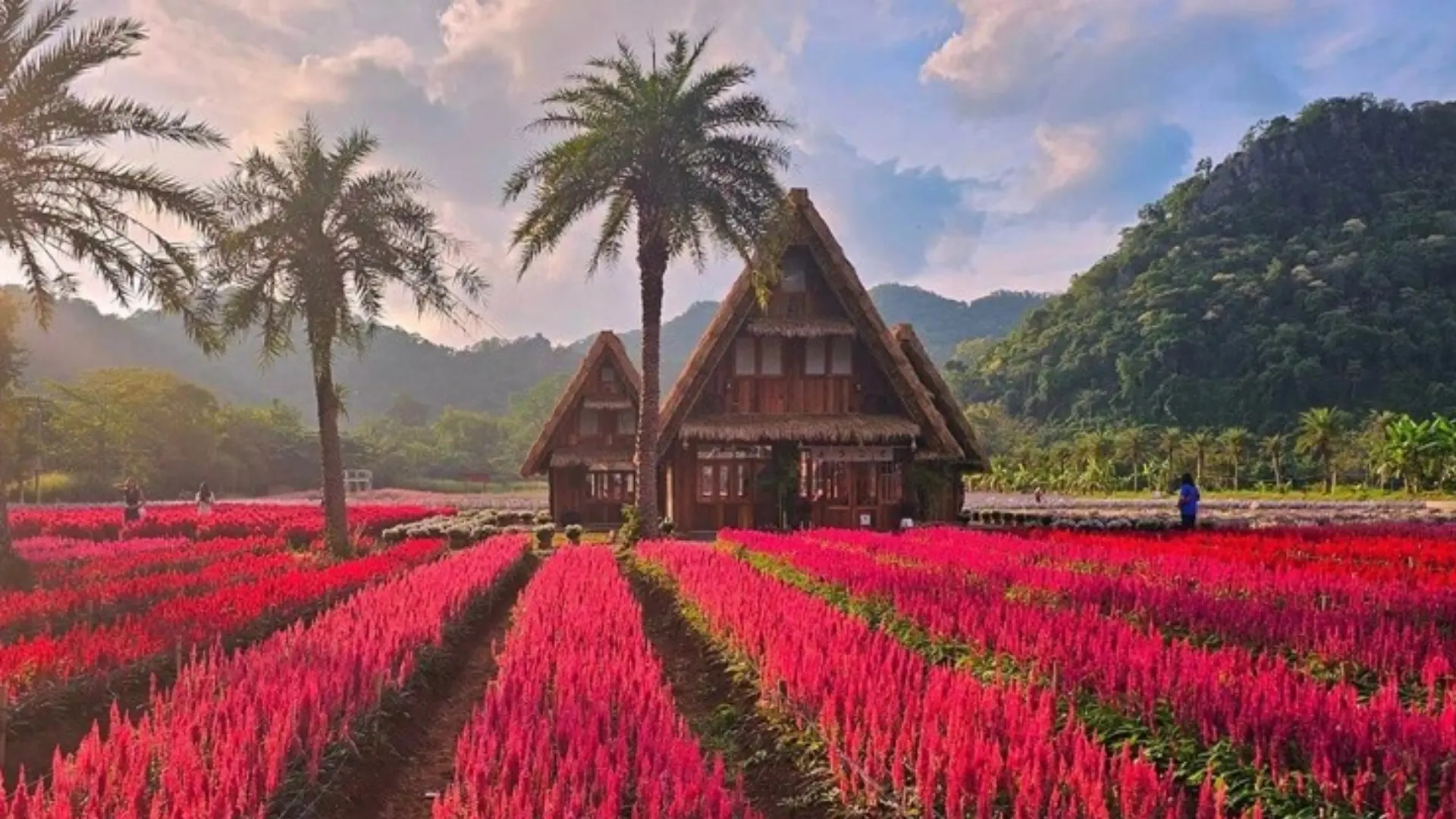 4H3M BANGKOK – KHAOYAI TOSCANA ESCAPE