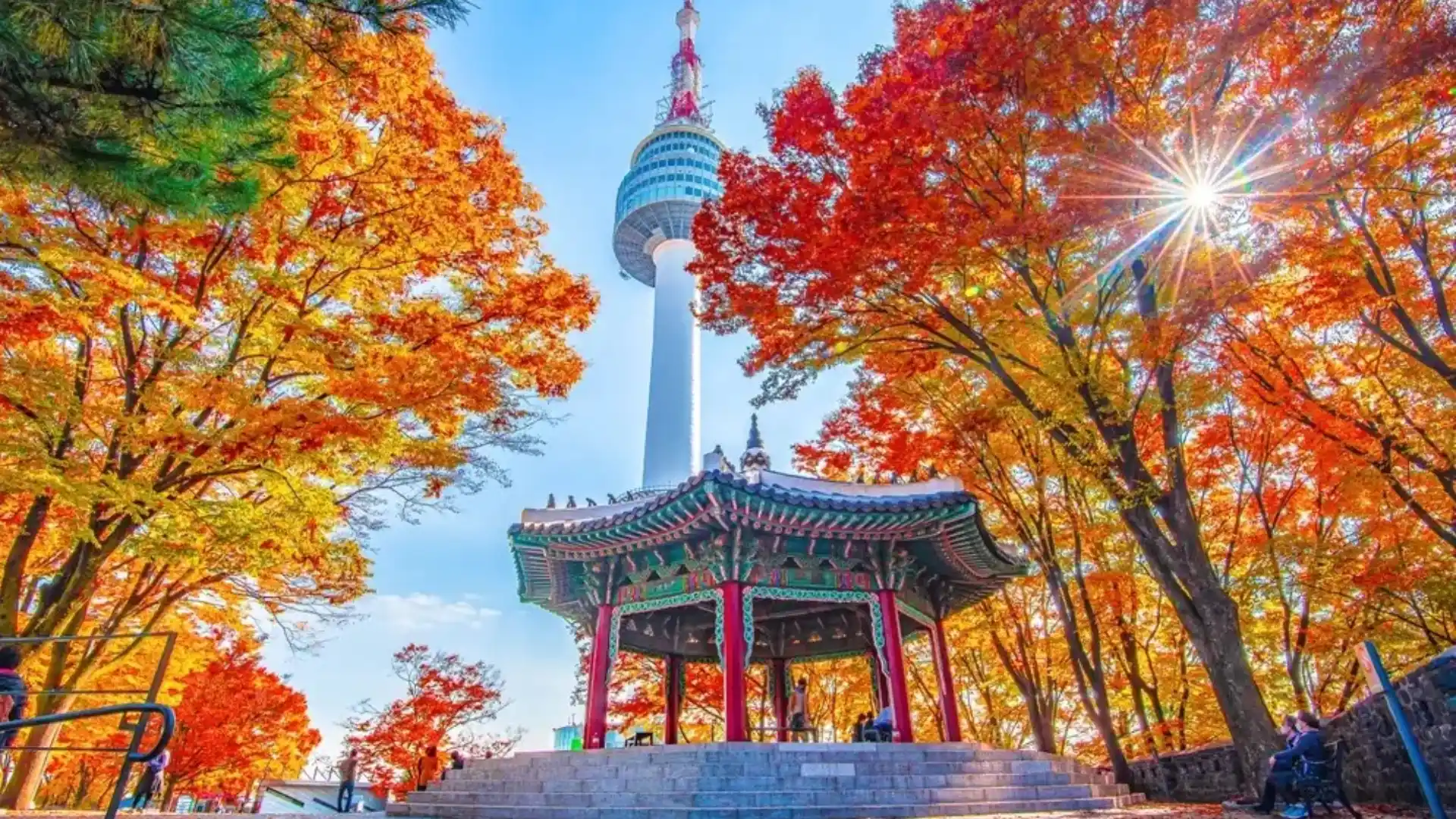 UNBEATABLE SALE KOREA 6D 