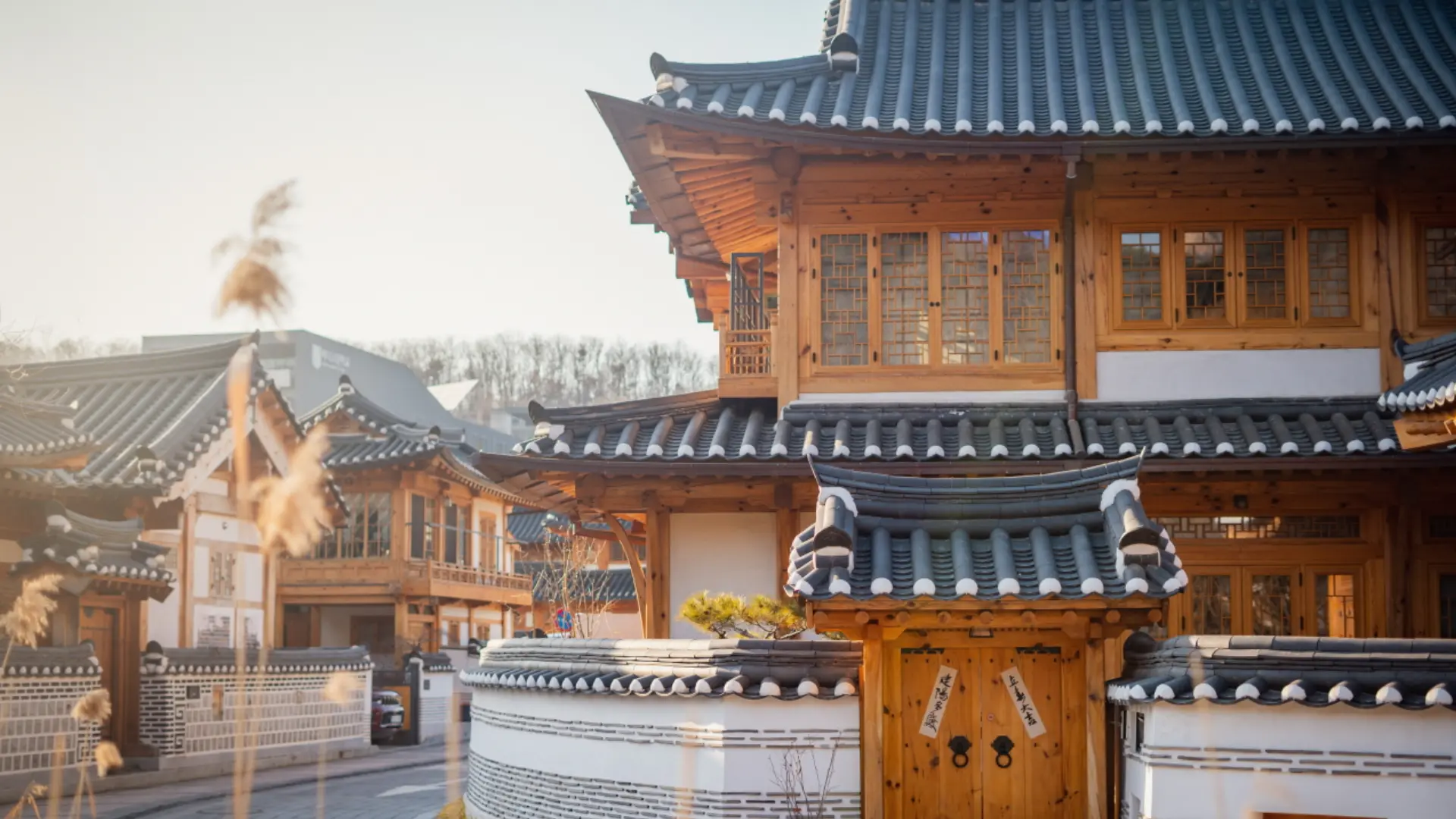 6D KOREA GRAND SALE 2026 