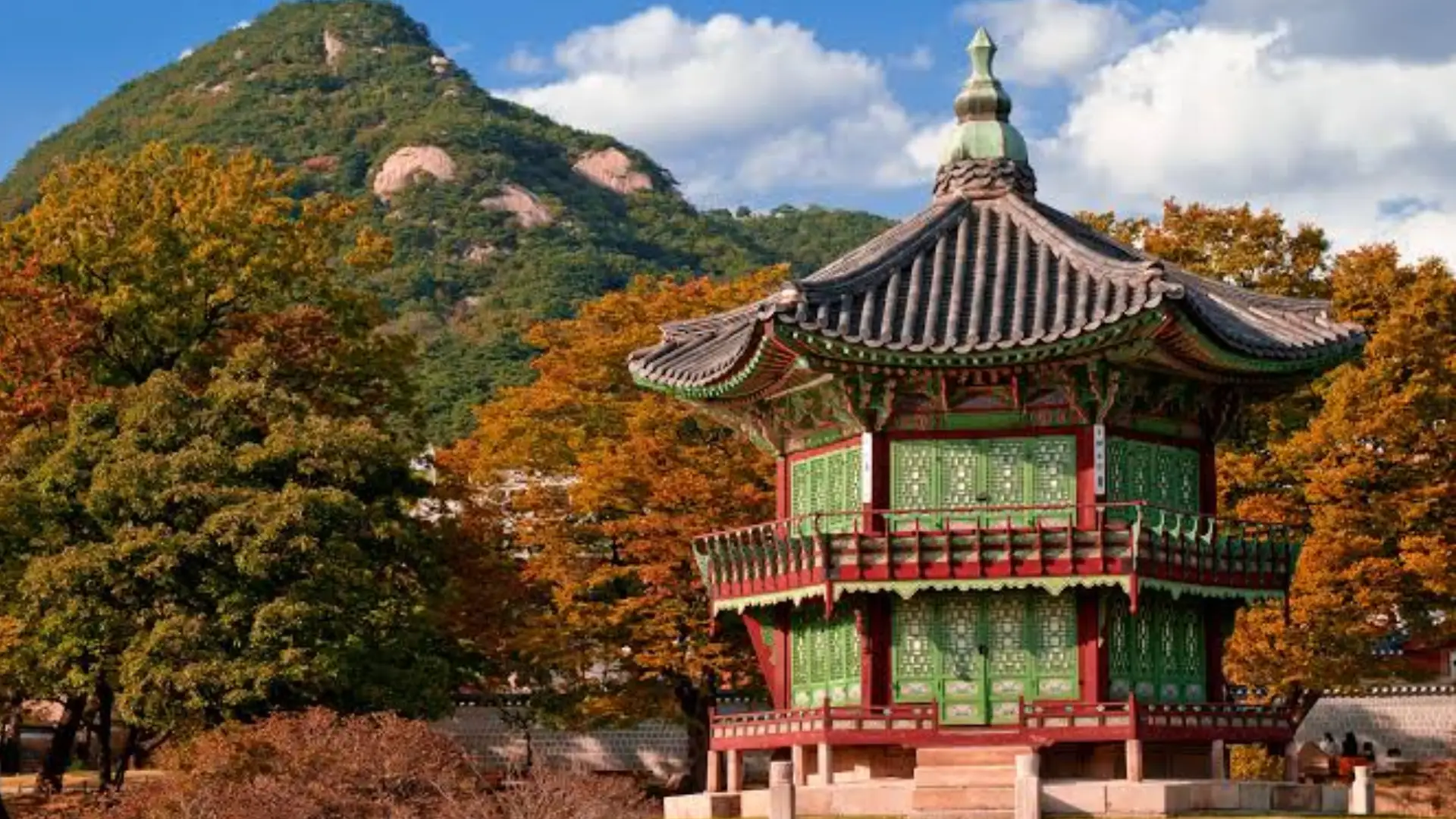 6D BEAUTIFUL NEW KOREA 