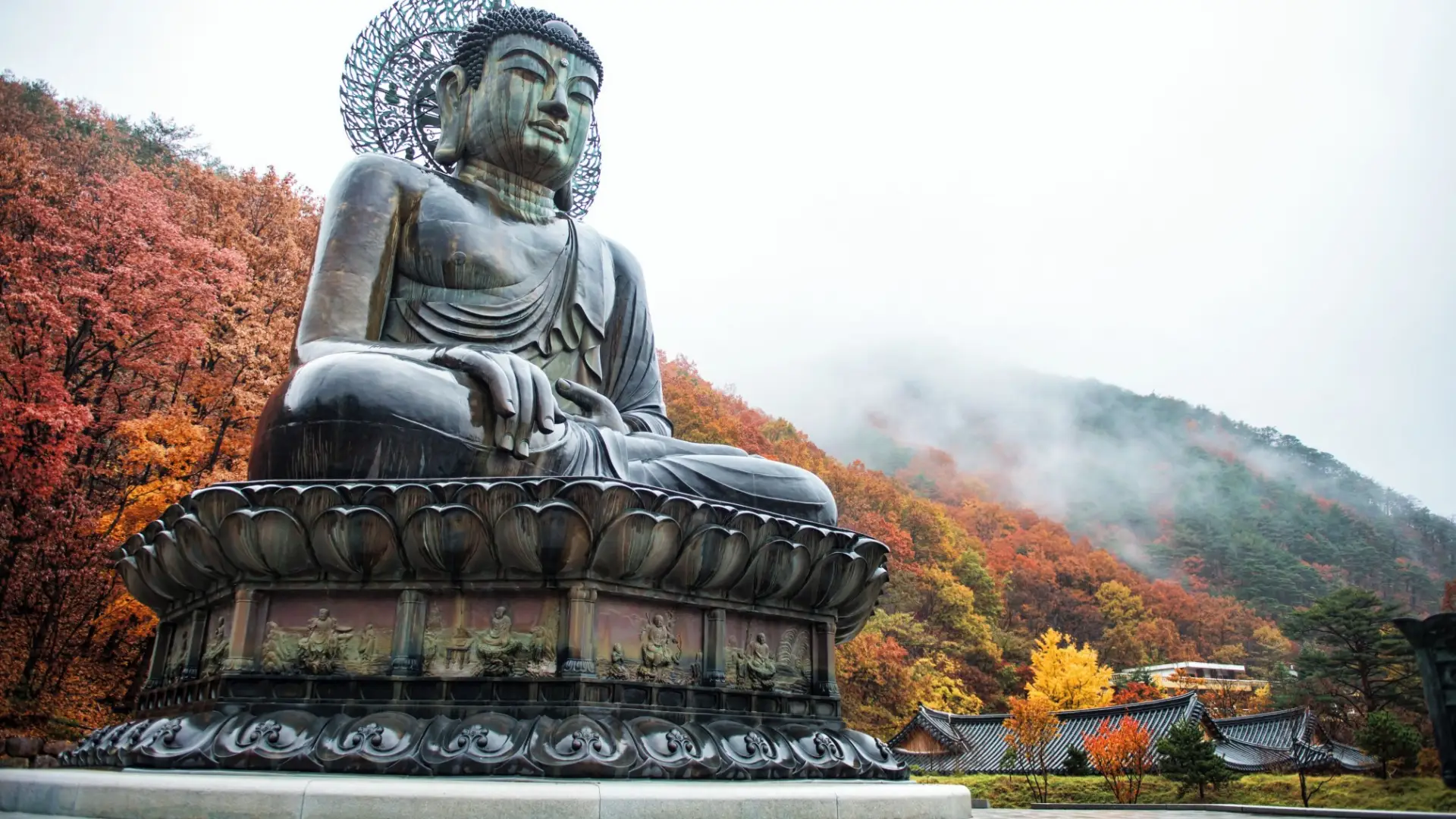6D BEAUTIFUL NEW KOREA 