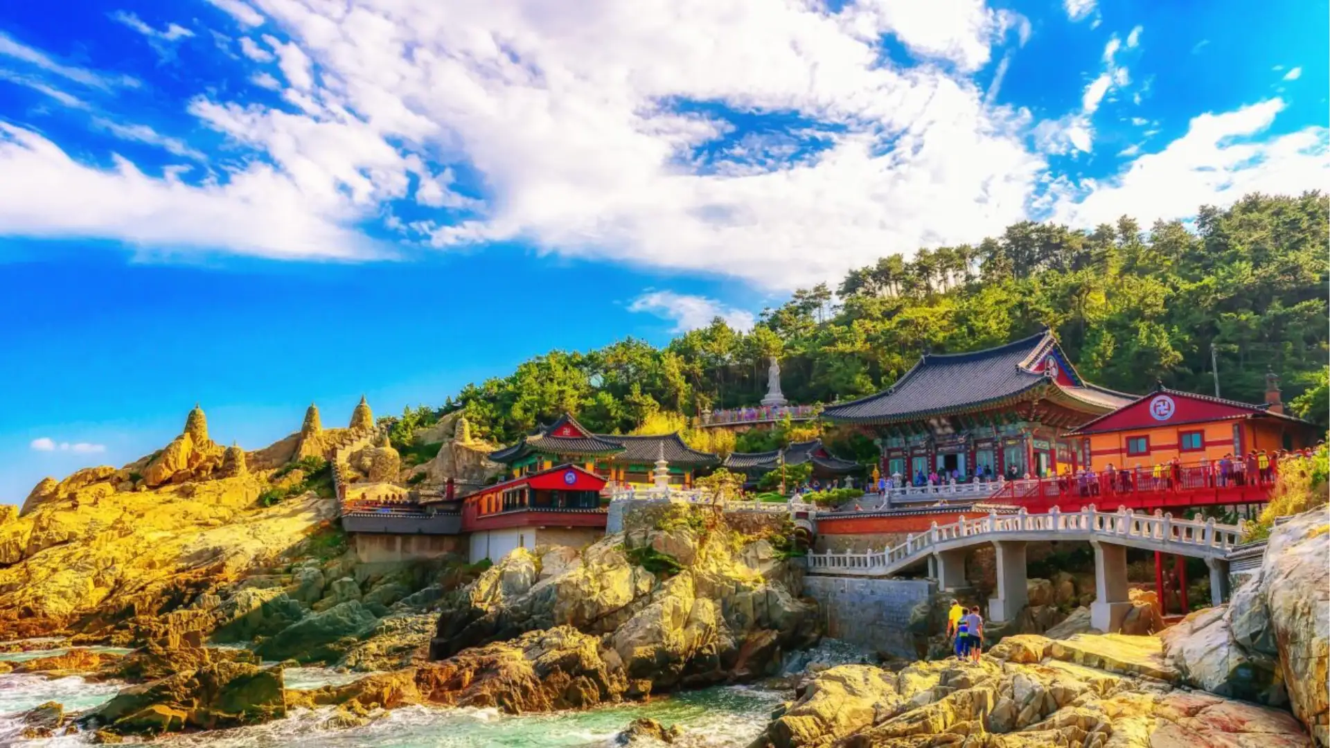 6D ENCHANTING AUTUMN KOREA SEOUL BUSAN