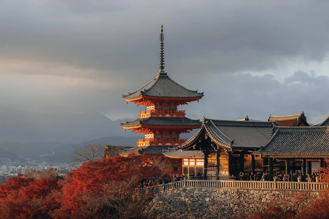 7D ADORABLE YEAR END GOLDEN ROUTE JAPAN