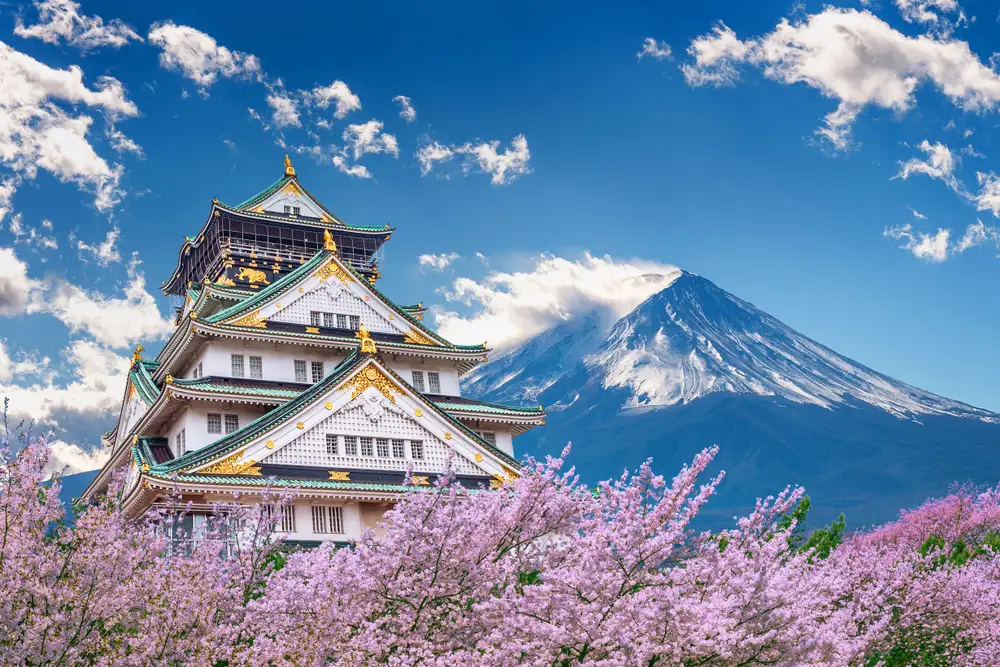 7D ADORABLE YEAR END GOLDEN ROUTE JAPAN